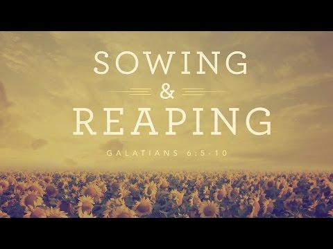Sowing &amp; Reaping (Galatians 6:5-10)