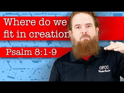 Where do we fit in creation? - Psalm 8:1-9