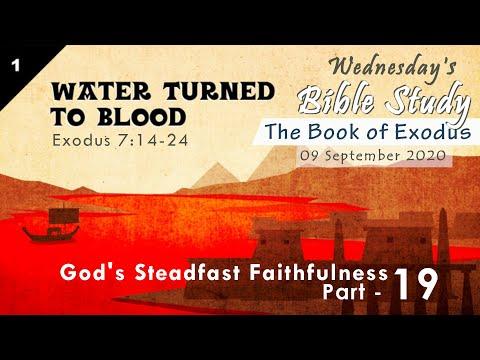 The Book of Exodus 7:14-24 II Wednesday Bible Study II Part 19