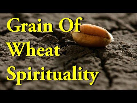 Grain of Wheat Spirituality | John 12:24 | From Self-centredness to Other centeredness