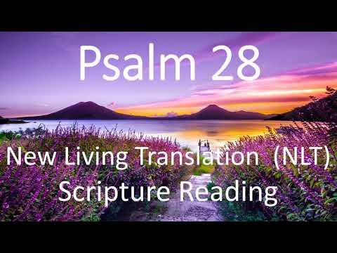 PSALM 28:1-9 | SCRIPTURE READING