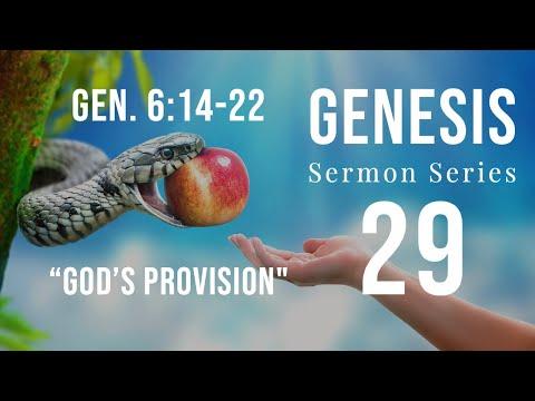 Genesis Sermon Series 29. God’s Provision. Genesis 6:14-22. Dr. Andy Woods.