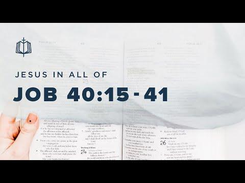 BEHEMOTH AND LEVIATHAN | Bible Study | Job 40:15-41