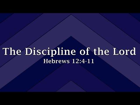 Hebrews 12:4-11 - The Discipline of the Lord