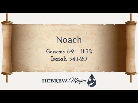 02 Noach, Aliyah 4, Genesis 8:15-17, Read Slow