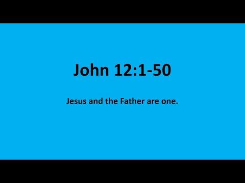 Bible Study: John 12:1-50