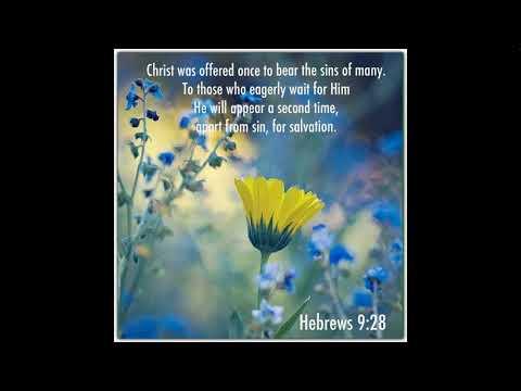 Hebrews 9:27-28 (a prayer of the day)
