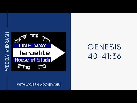 Genesis 40 - 41:36