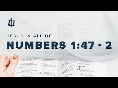 ARRANGING THE CAMP | Bible Study | Numbers 1:47-2