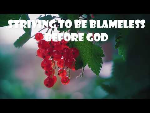 Striving To Be Blameless Before God (Psalm 101: 2-7)  Mission Blessings