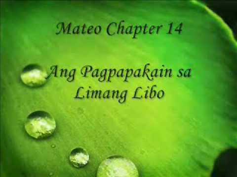 Patnubay Bible Study Matthew 14:13-21 Part One