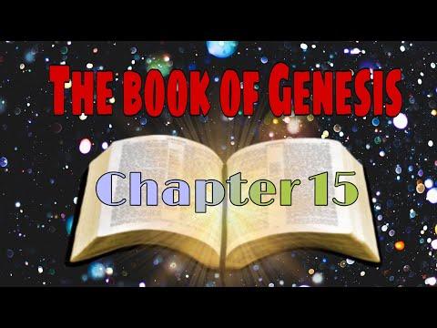 Genesis 15:1-21#thebible