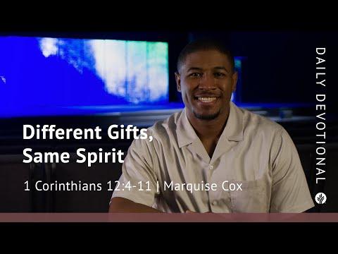 Different Gifts, Same Spirit | 1 Corinthians 12:4–11 | Our Daily Bread Video Devotional