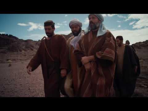 Daily Gospel Reading Video - St. Luke 8:1-3 (English)