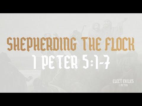 Shepherding the Flock (1 Peter 5:1-7)
