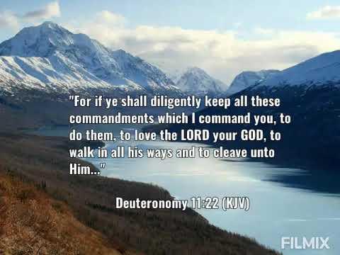 Bible Verse # 25/ Deuteronomy 11:22