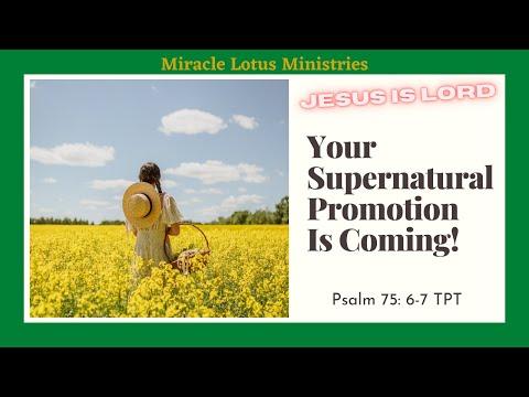 GET READY for Your Supernatural Promotion I Psalm 75: 6-7 TPT