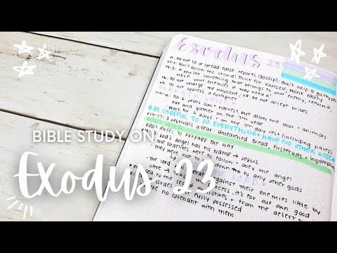Bible Study on Exodus 23 | Study the Whole Bible with Me