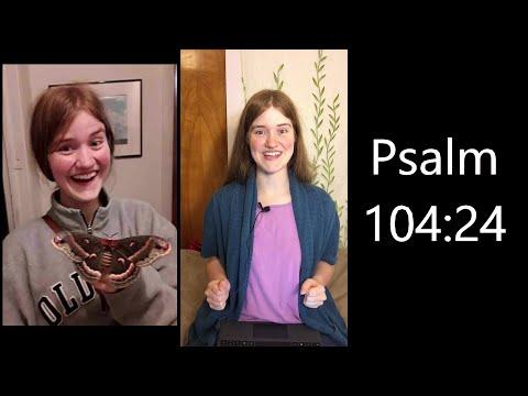 Nature Devotion for Kids (Cecropia Moths and Psalm 104:24 NIV) (21 of 100)