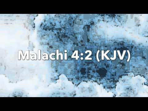 God's Time:  Malachi 4:2 (KJV)