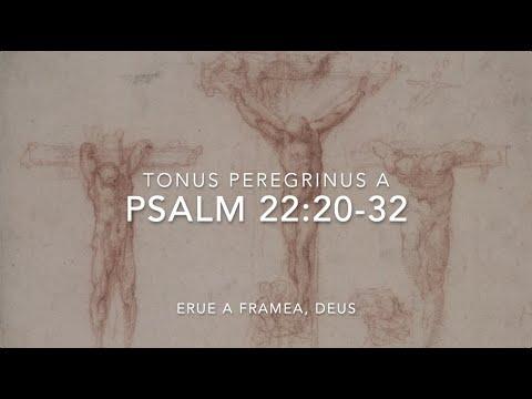Psalm 22:20-32 – Erue a framea, Deus