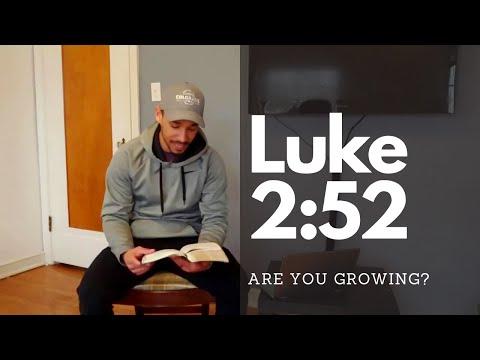 Are you Growing in stature? | Daily Bible Verse from Luke 2:52