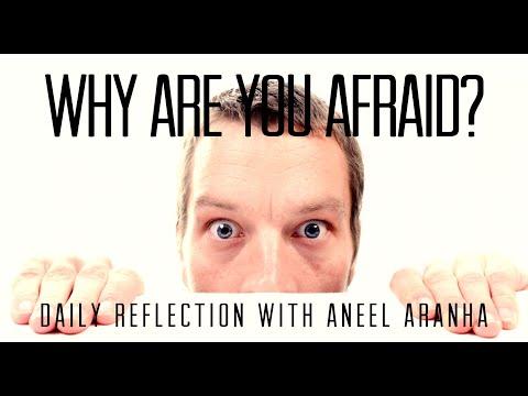 Daily Reflection with Aneel Aranha | Mark 4:35-41 | February 1, 2020