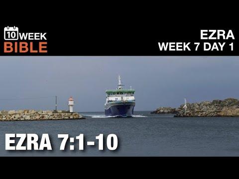 Ezra Shows Up | Ezra 7:1-10 | Week 7 Day 1 Study of Ezra