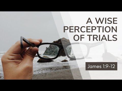 A Wise Perception Of Trials [ James 1:9-12 ] by Dominic Alves