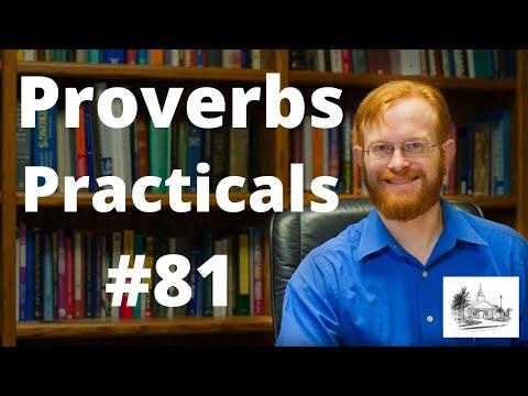 Proverbs Practicals 81 - Proverbs 20:1 -- Why Want Wine?