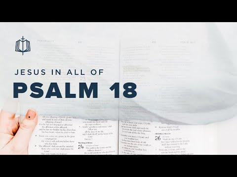 MAKE MY FEET LIKE A DEER'S | Bible Study | Psalm 18