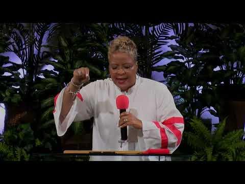 Rev. Dr. Gina M. Stewart - Ministry Beyond the Borders - Acts 2:1-4, 11:8