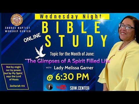 "Joy is an Inside Job "  (Galatians 5: 22-23) Bible Study with  Lady Melissa Garner