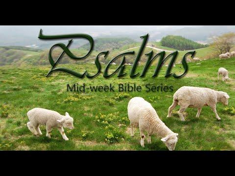 Psalm 141:1-4  |"A Prayer for Godliness" | Apr 11, 2021 PM | Dr Robert Ball | Oakleaf Baptist Church