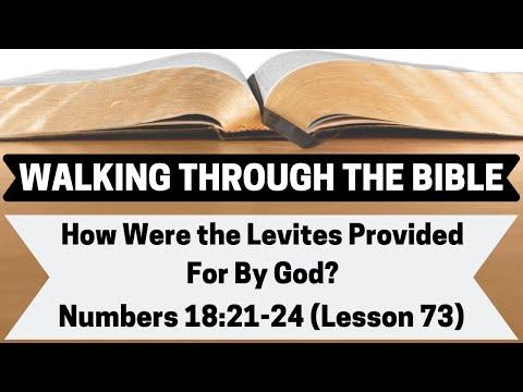How Were the Levites Provided For By God? [Numbers 18:21-24][Lesson 73][WTTB]