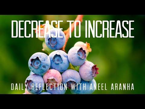 Daily Reflection with Aneel Aranha | John 3:22-30 | January 11, 2020