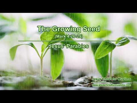 The Growing Seed | Mark 4:26-29 | Parables of Jesus