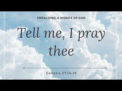 PREACHING A WORDS OF GOD: TELL ME, I PRAY THEE ( Genesis 37:14-16)