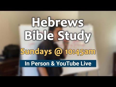 Hebrews 12:12-15