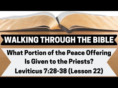 What Portion of the Peace Offering Is Given to the Priests? [Leviticus 7:28-38][Lesson 22][WTTB]