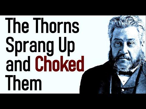 Sown Among Thorns! - Charles Spurgeon Sermon (Matthew 13:7)