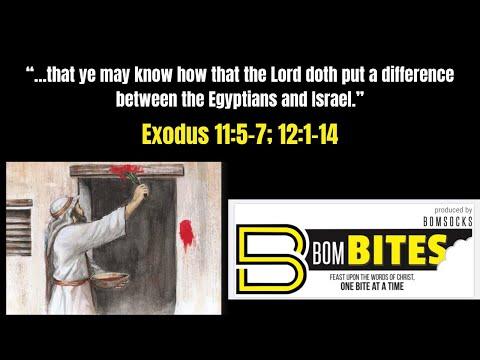 BOM-BITES Episode #521 - Exodus 11:5-7; 12:1-13