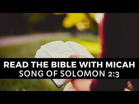 Read the Bible | Song Of Solomon 2:3