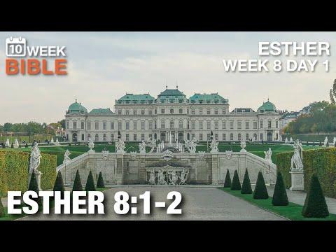 Mordecai Gets Haman’s Estate | Esther 8:1-2 | Week 8 Day 1 Study of Esther