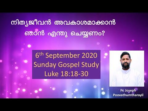 6 September 2020 | Sunday Gospel Study: Luke 18:18-30 | Fr. Joseph Poovathumtharayil