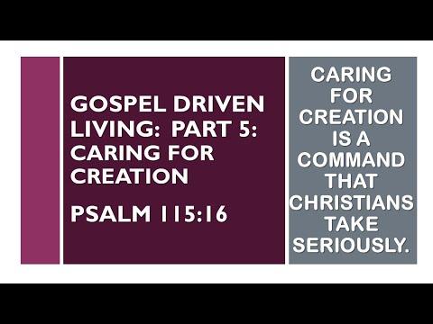 07192020 Service - Caring for Creation - Psalm 115:16