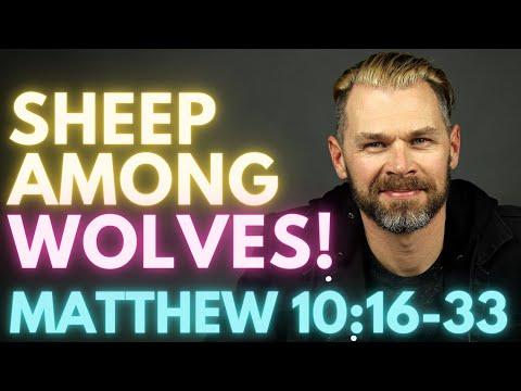 How to follow Christ in a CHRIST-HATING WORLD! | MATTHEW 10:16-33.