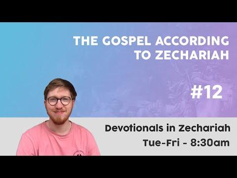 Springing into action from His holy dwelling - Zechariah 2:6-13