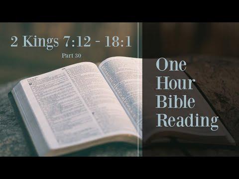 Read The Entire Bible (Part 30) - 1 Hour Bible Reading (2 Kings 7:12 - 18:1)