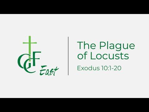 GCFE Midweek Service March 25, 2020 | Exodus 10:1-20 | The Plague of Locusts